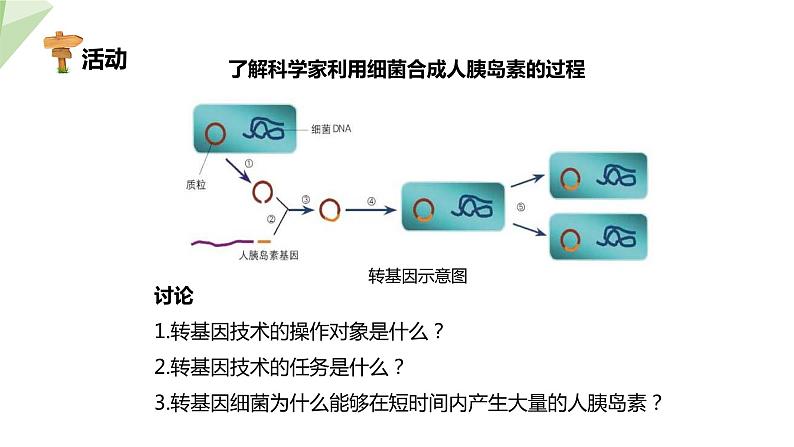 25.2 现代生物技术 课件 2023-2024学年初中生物北师版八年级下册第6页