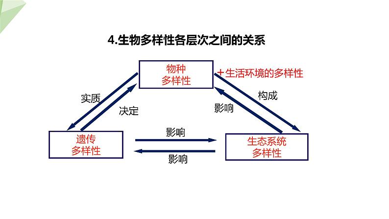 6.3.1 生物的多样性 课件2023-2024学年初中生物济南版八年级下册第8页