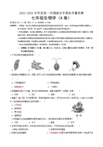 广东省清远市2022-2023学年七年级上学期期末考试生物试题