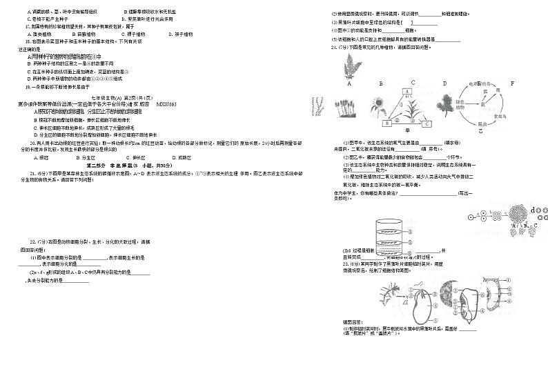 河南省周口市淮阳区羲城中学2023-2024学年七年级上学期12月月考生物试题02