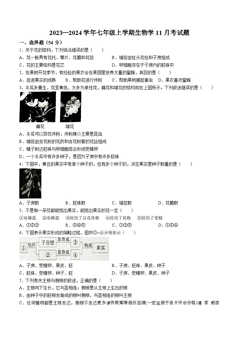 湖北恩施市沙地乡中学2023-2024学年七年级上学期11月月考生物试卷 (无答案)01