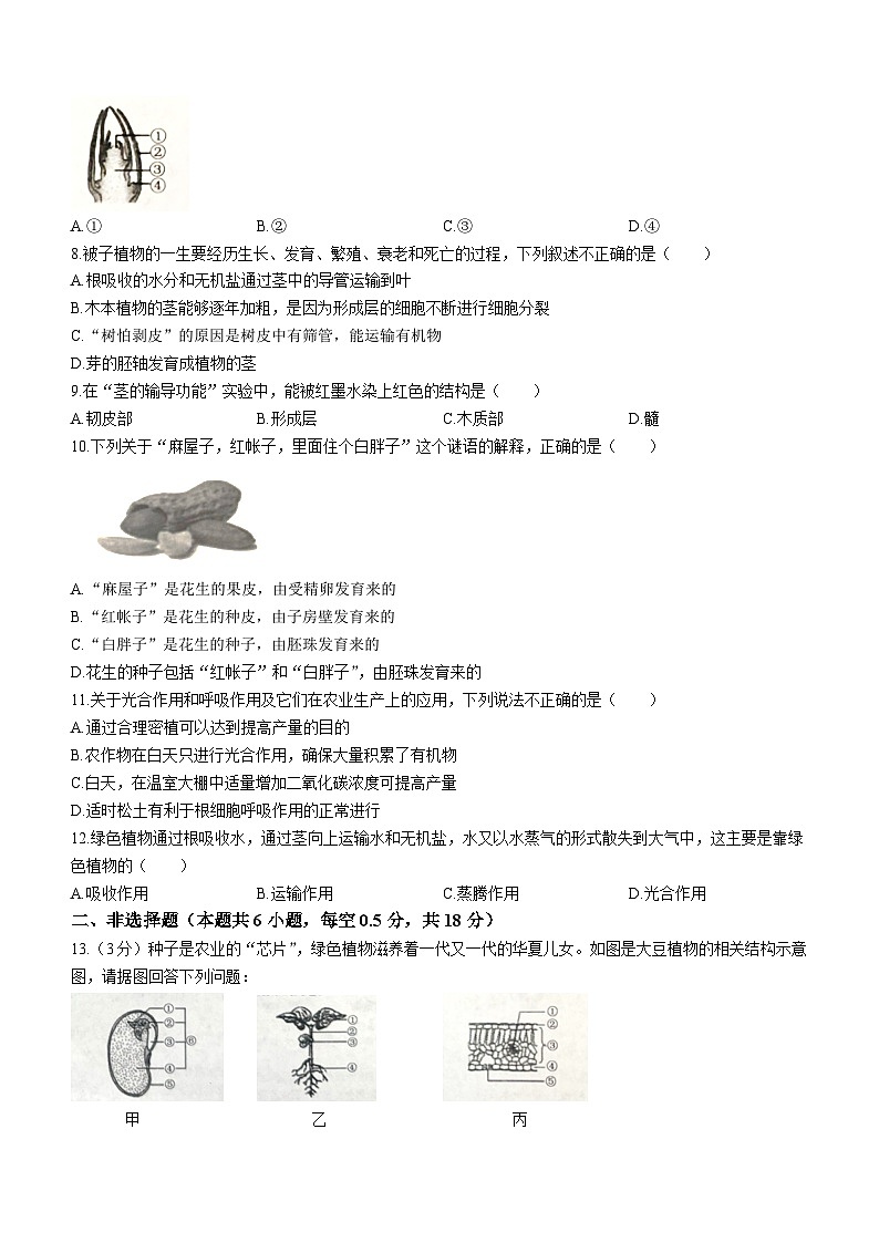 辽宁省沈阳市浑南区2023-2024学年七年级上学期期末考试生物试题(无答案)02