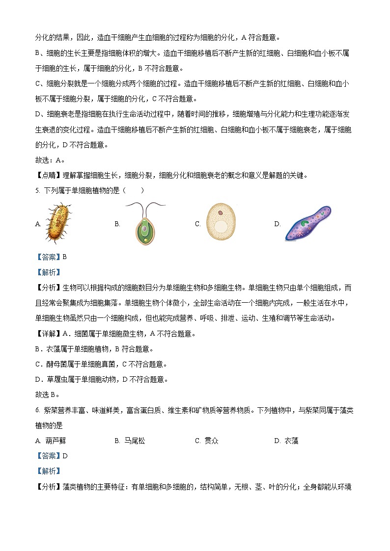 陕西省商洛市山阳县第二初级中学2023-2024学年七年级上学期第二次月考生物试卷03