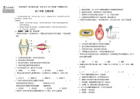 吉林省长春外国语学校2023-2024学年八年级上学期期末生物试题