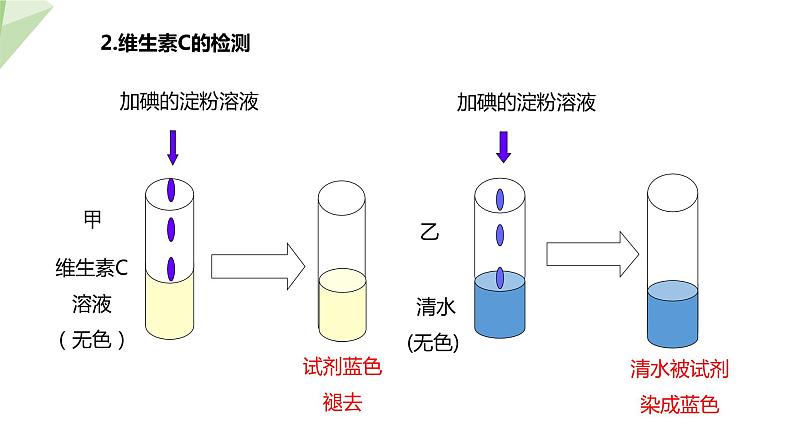 北师大版七年级生物下册课件 8.1 人类的食物 课件07