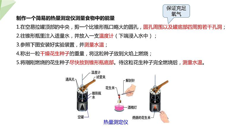 北师大版七年级生物下册课件 10.1 食物中能量的释放 课件07