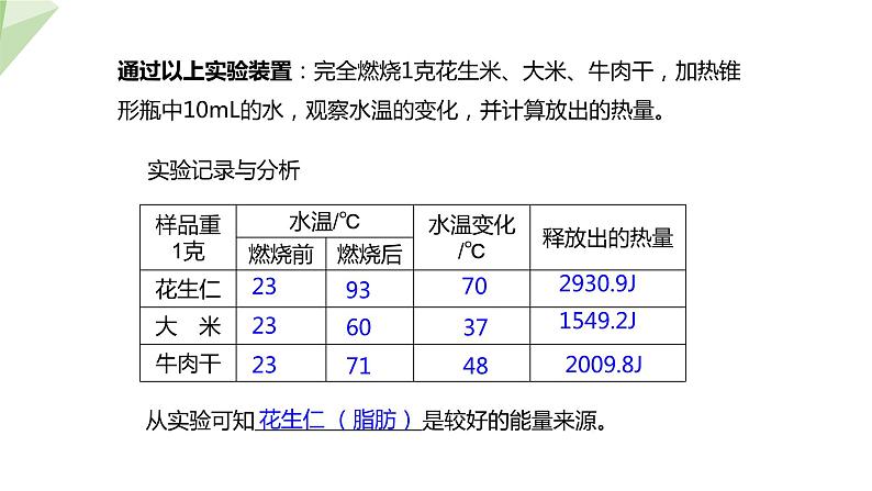 北师大版七年级生物下册课件 10.1 食物中能量的释放 课件08