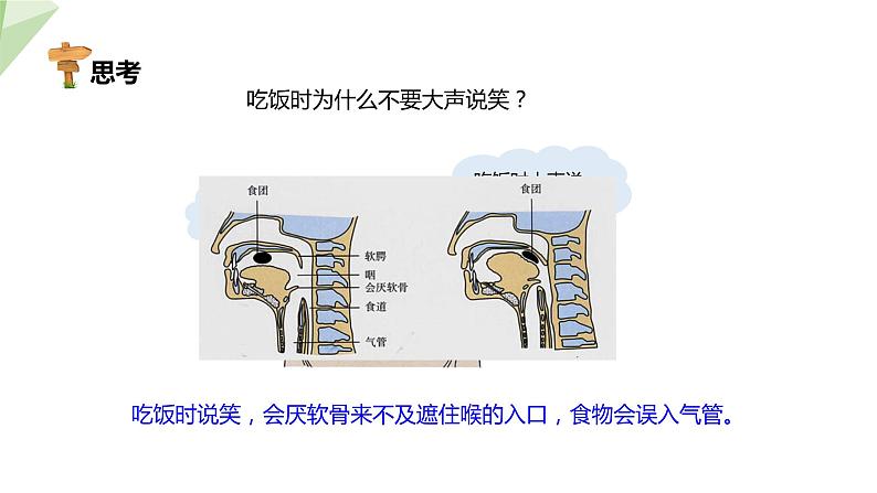 北师大版七年级生物下册课件 10.2 人体细胞获得氧气的过程 课件第8页