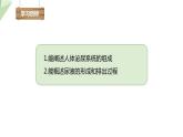 北师大版七年级生物下册课件 11.2 尿的形成与排出 课件