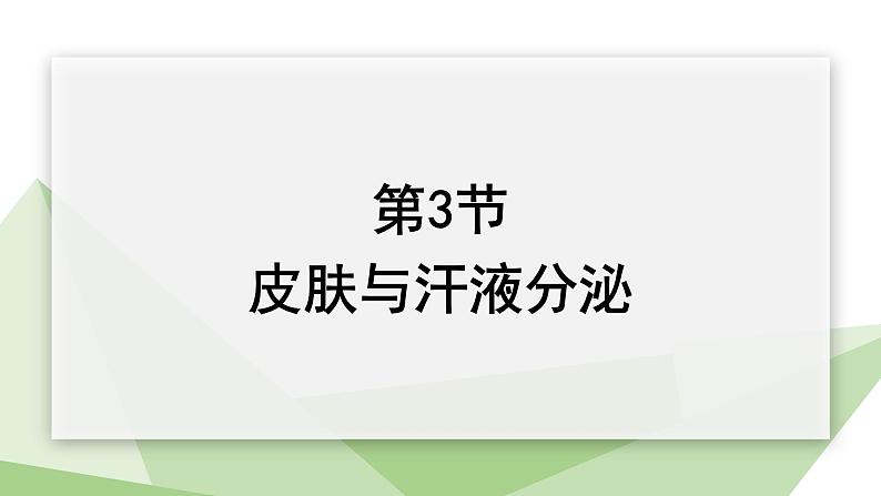 北师大版七年级生物下册课件 11.3 皮肤与汗液分泌 课件 初中生物北师版七年级下册01