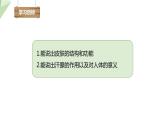北师大版七年级生物下册课件 11.3 皮肤与汗液分泌 课件 初中生物北师版七年级下册