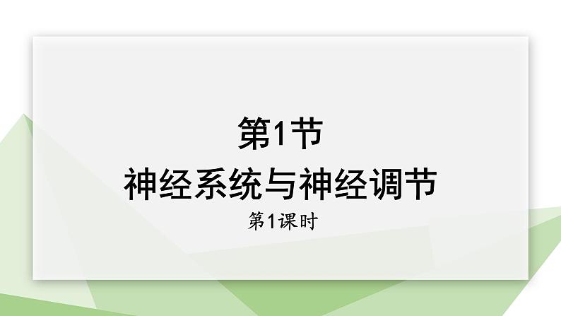 北师大版七年级生物下册课件 12.1 神经系统与神经调节 第1课时 课件第1页