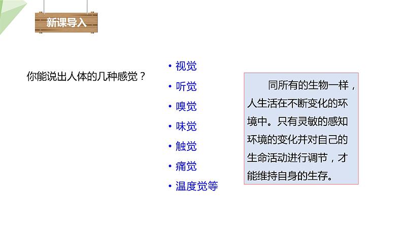 北师大版七年级生物下册课件 12.2 感受器和感觉器官 第1课时 课件02