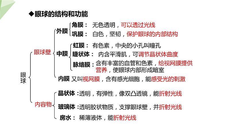 北师大版七年级生物下册课件 12.2 感受器和感觉器官 第1课时 课件06