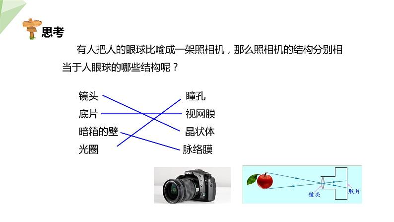 北师大版七年级生物下册课件 12.2 感受器和感觉器官 第1课时 课件07