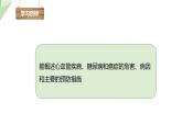 北师大版七年级生物下册课件 13.4 当代主要疾病和预防 课件