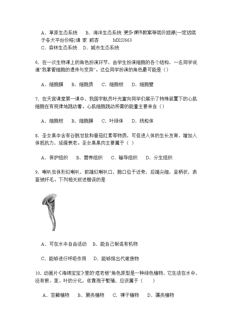 河南省商丘市第二中学2023-2024学年七年级上学期生物期末模拟试卷02