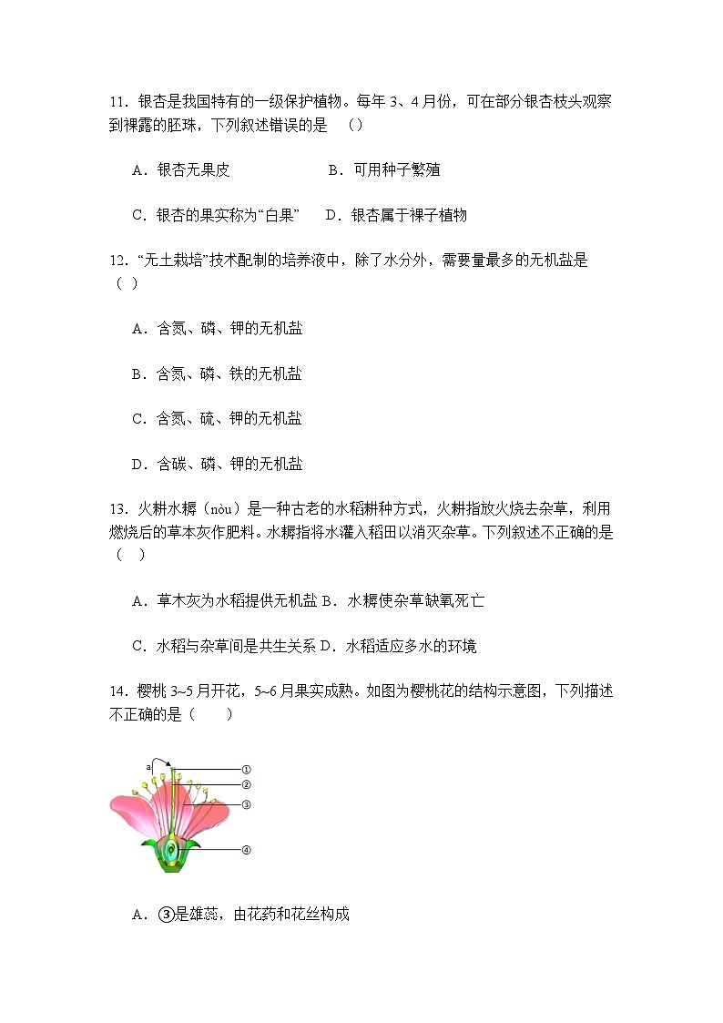 河南省商丘市第二中学2023-2024学年七年级上学期生物期末模拟试卷03