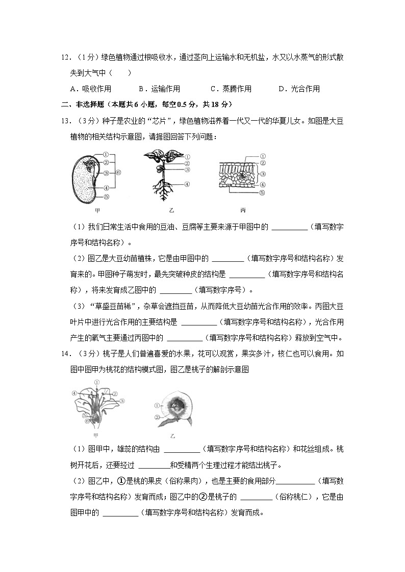 辽宁省沈阳市浑南区2023-2024学年七年级上学期期末生物试卷第3页
