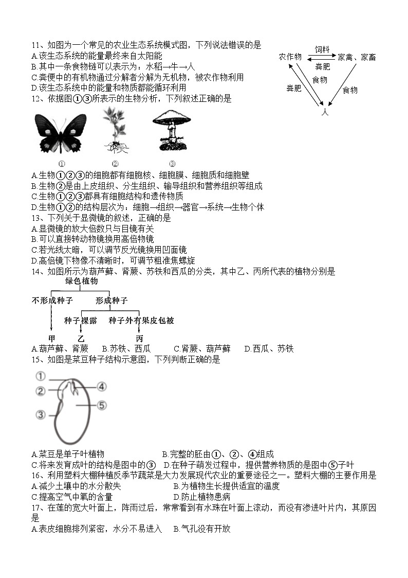 四川省泸县第四中学2023-2024学年七年级上学期期末生物试题02
