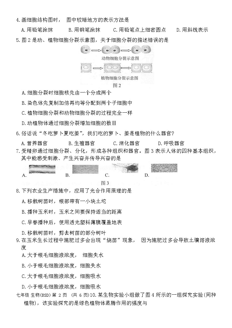 广西河池市凤山县2023-2024学年七年级上学期期末考试生物试题第2页