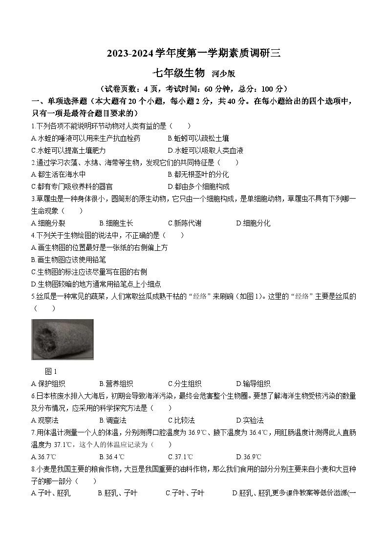 河北省邢台市南和区2023-2024学年七年级上学期第三次月考生物试卷(无答案)01