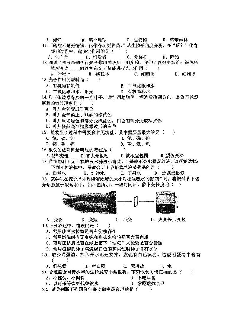 江苏省扬州大学附属中学东部分校2023-2024学年七年级上学期期末生物学试题02