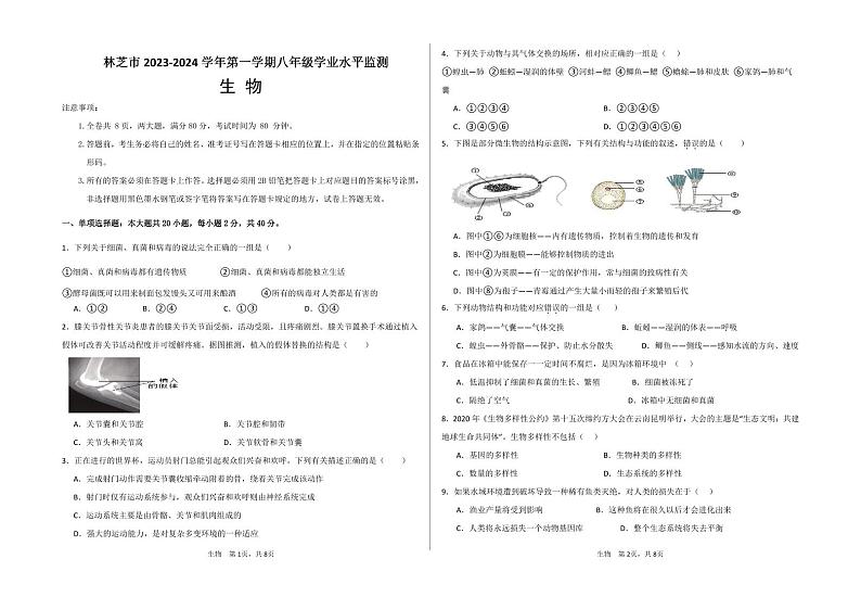 西藏林芝市2023-2024学年八年级上学期期末考试生物学试题01
