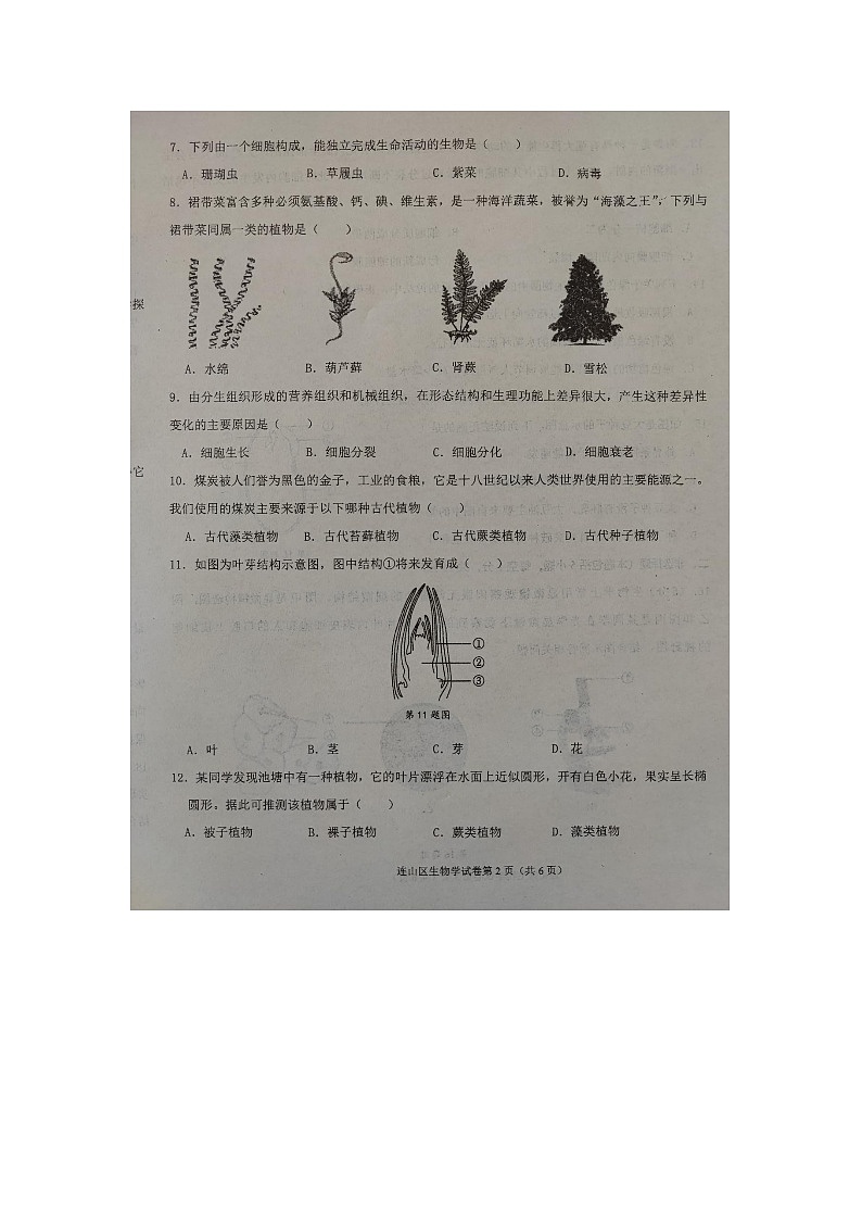 辽宁省葫芦岛市连山区2023-2024学年七年级上学期期末生物学试题第2页