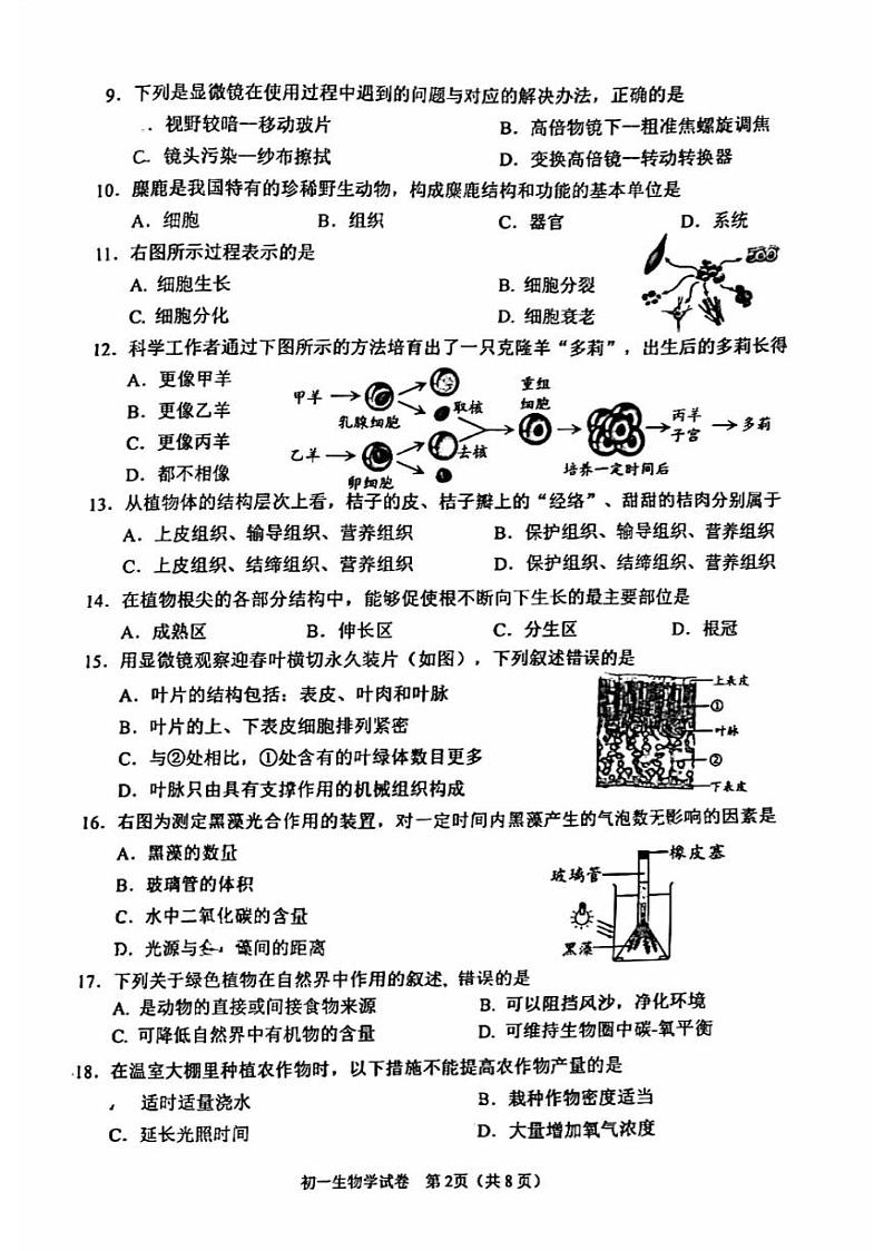 北京市石景山区2023-2024学年七年级上学期期末生物学试题02