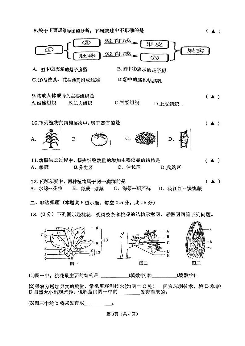 辽宁省大连市普兰店区2023-2024学年七年级上学期期末生物试题03