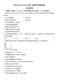 青海省果洛州久治县2023-2024学年七年级上册期末考试生物试题（含解析）