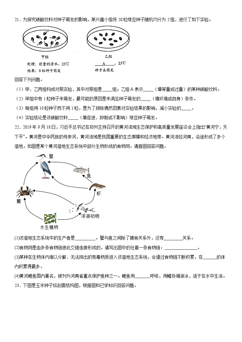 吉林省长春市榆树市2023-2024学年七年级上册期末生物试题（含解析）03