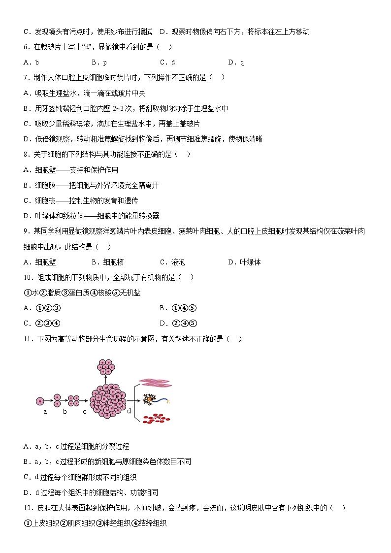 吉林省长春市农安县2023一2024学年七年级上册期末学情调研生物试卷（含解析）第2页