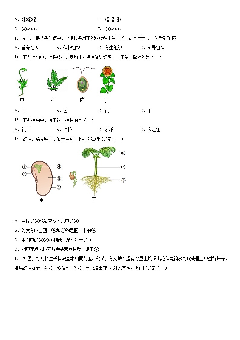 吉林省长春市农安县2023一2024学年七年级上册期末学情调研生物试卷（含解析）第3页