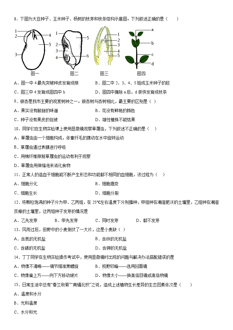 吉林省松原市油田第十二中学2023-2024学年七年级上册期末生物试卷（含解析）02