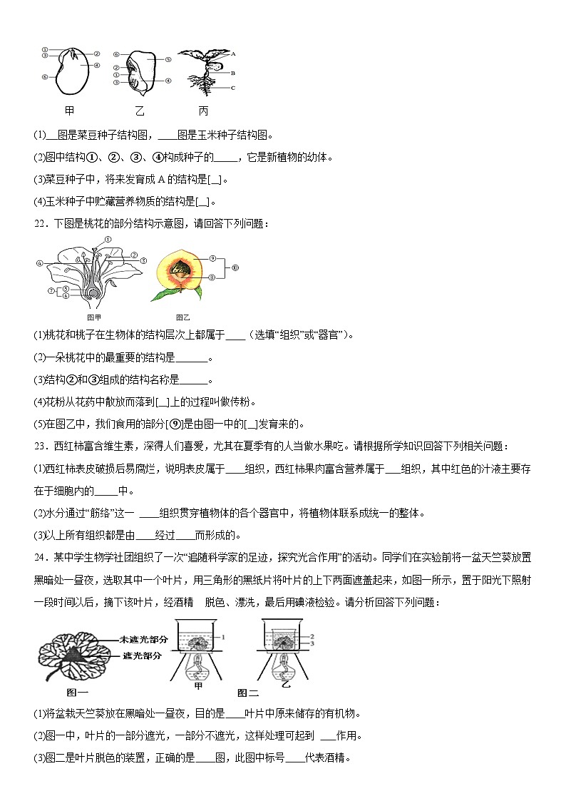 吉林省吉林市永吉县2023-2024学年七年级上册期末考试生物试题（含解析）03