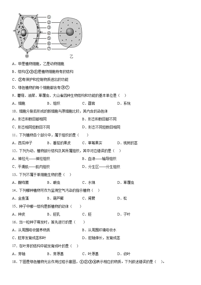 甘肃省武威市凉州区西营片联考2023-2024学年七年级上册期末生物试题（含解析）02