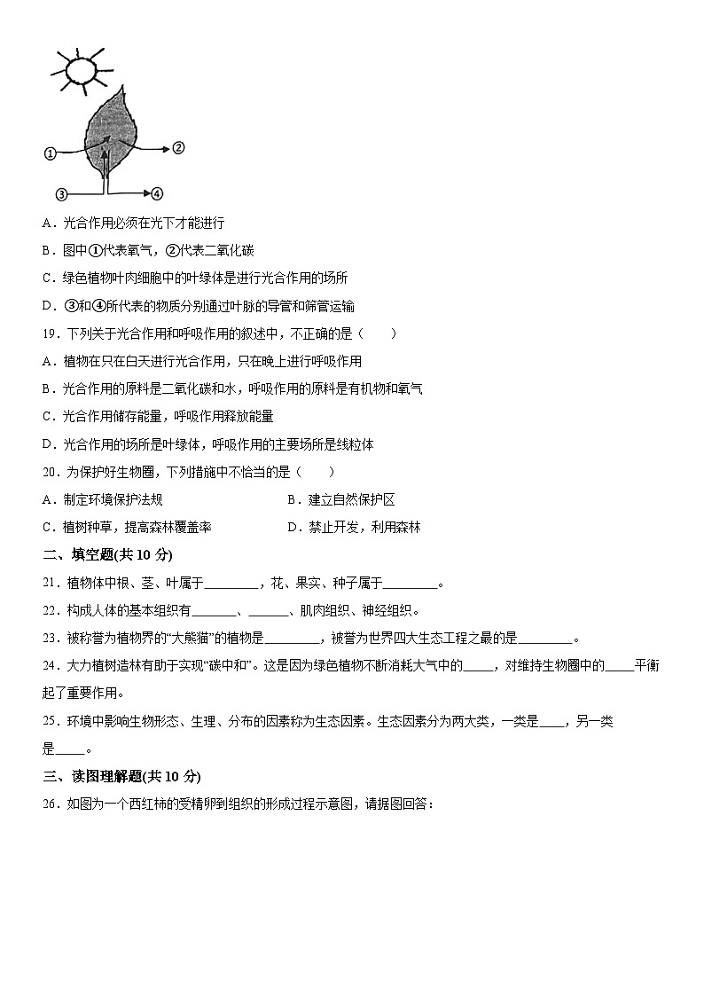 甘肃省武威市凉州区西营片联考2023-2024学年七年级上册期末生物试题（含解析）03