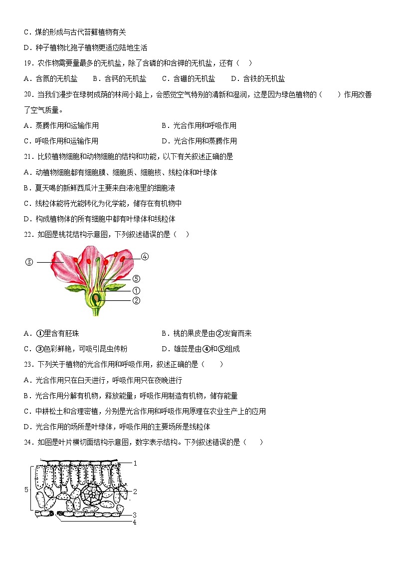 甘肃省武威第七中学2023-2024学年七年级上册期末考试生物试题（含解析）第3页