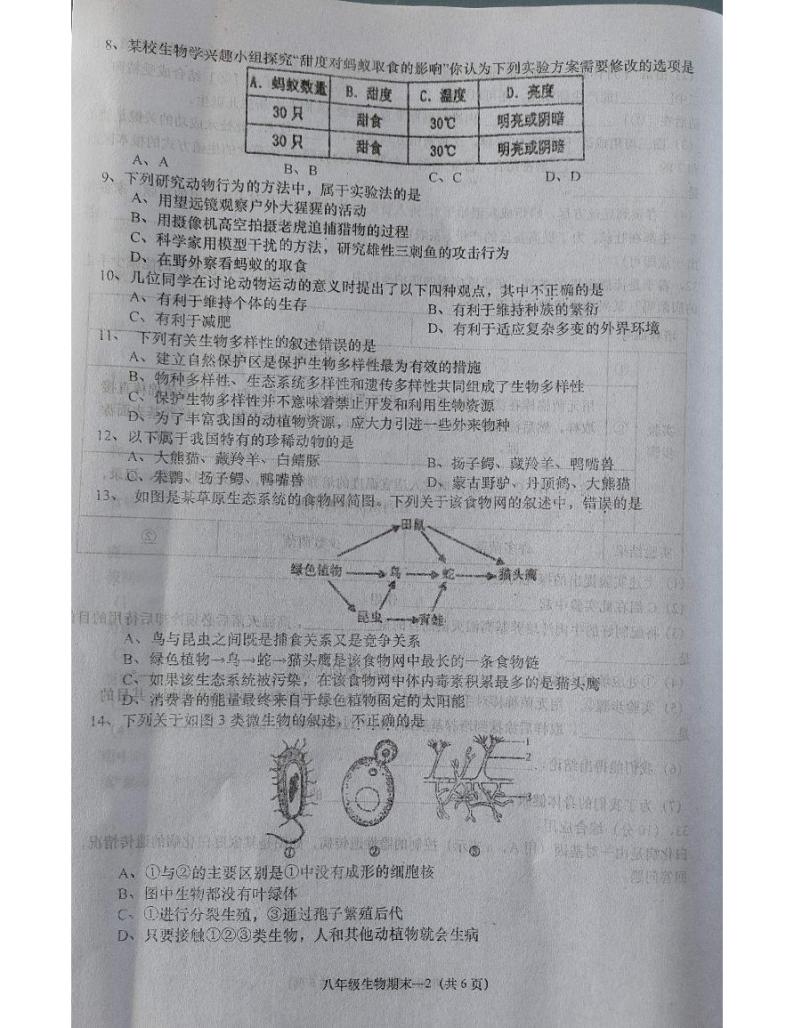 广东省揭阳市惠来县2023-2024学年八年级上学期期末生物试题02