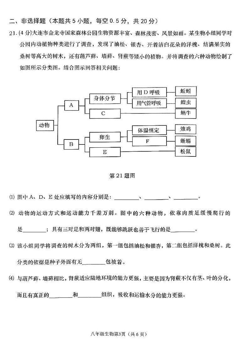 辽宁省大连市甘井子区2023-2024学年八年级上学期期末生物试题03