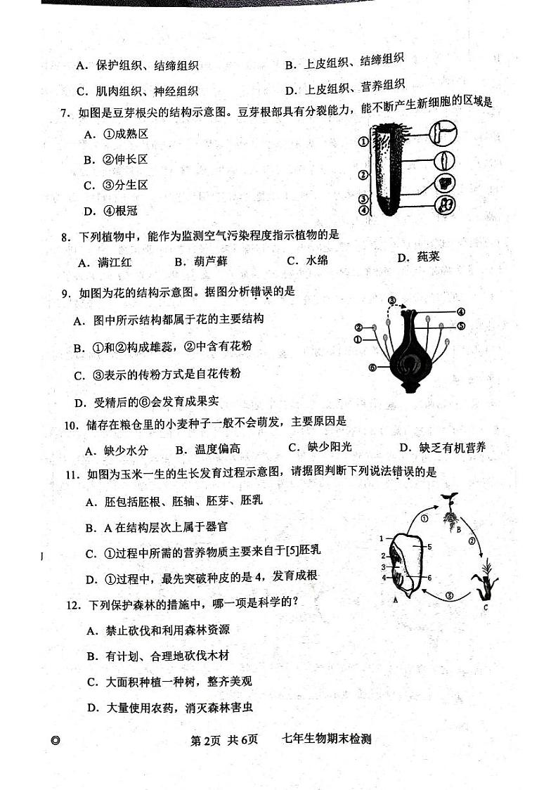 辽宁省葫芦岛市建昌县2023-2024学年七年级上学期期末生物试题第2页