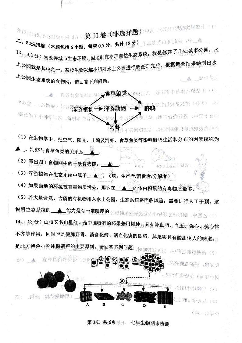辽宁省葫芦岛市建昌县2023-2024学年七年级上学期期末生物试题第3页