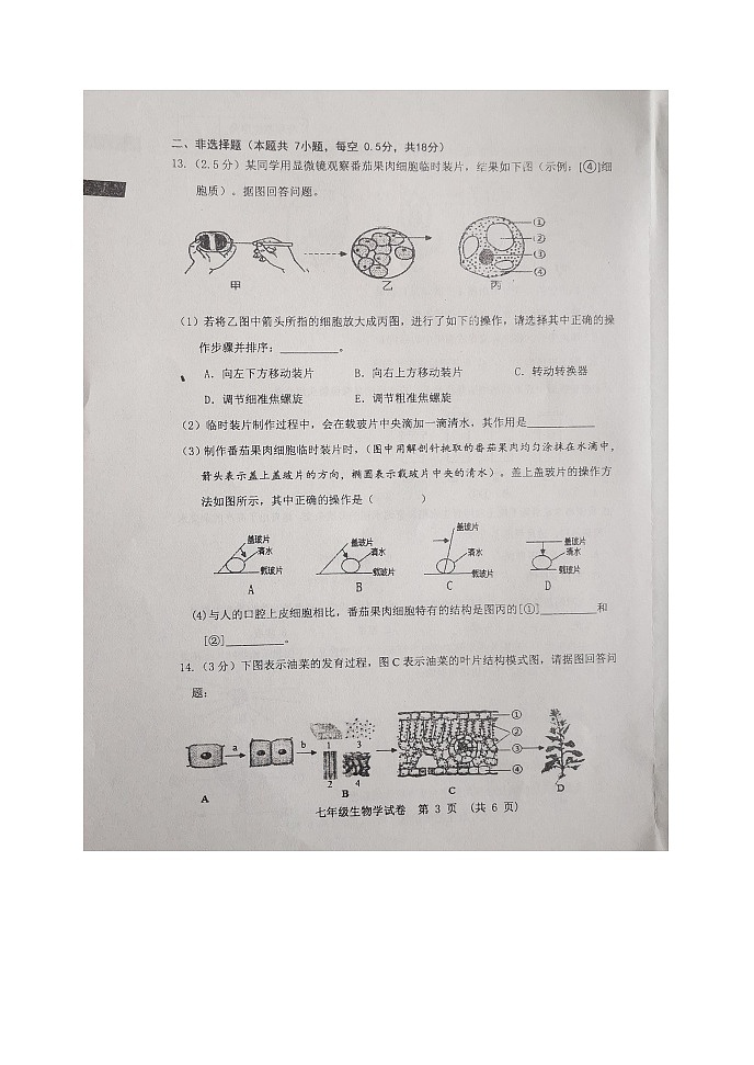 辽宁省本溪市2023-2024学年七年级上学期期末生物试题第3页