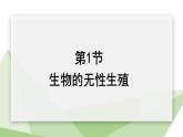 21.1 生物的无性生殖 课件初中生物苏教版八年级下册