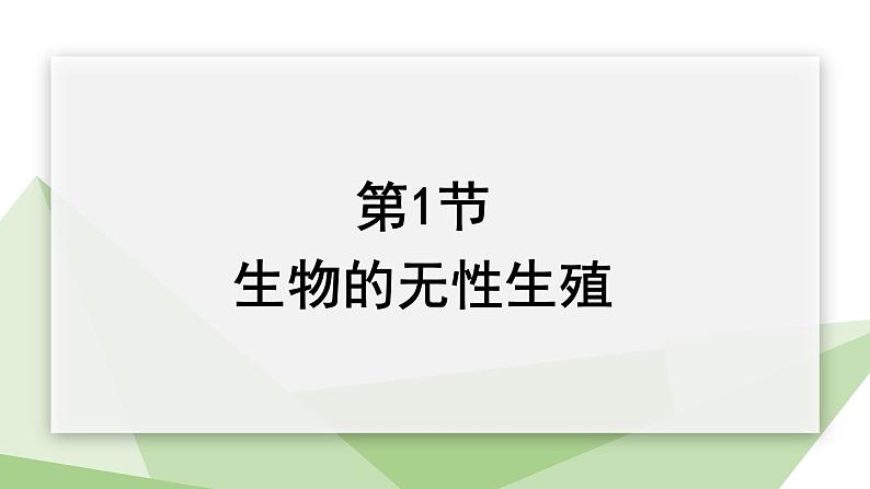 21.1 生物的无性生殖 课件初中生物苏教版八年级下册01