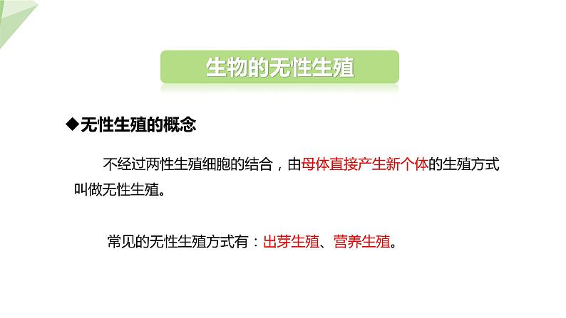 21.1 生物的无性生殖 课件初中生物苏教版八年级下册05