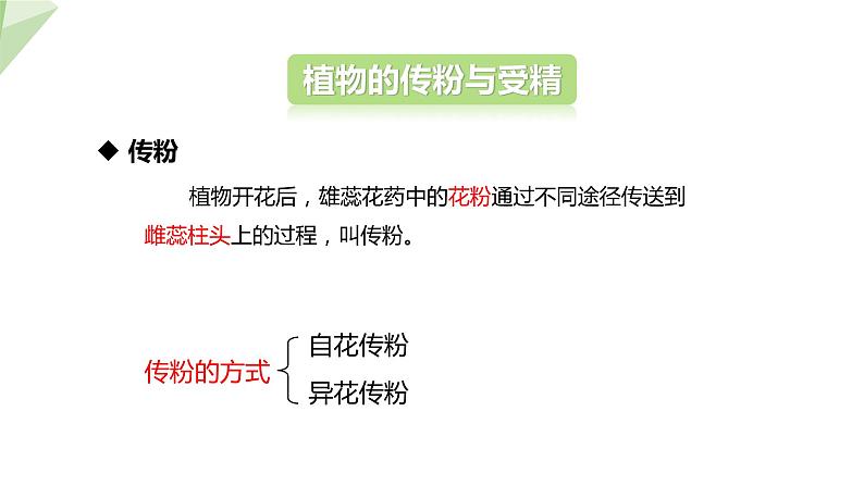 21.2 植物的有性生殖 课件初中生物苏教版八年级下册07