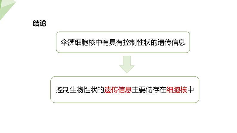 22.1 DNA是主要的遗传物质 课件初中生物苏教版八年级下册08